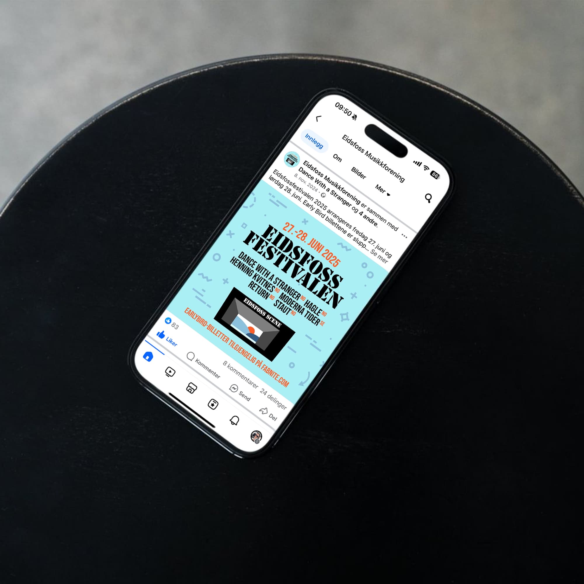 Eidsfossfestivalen – Visual Identity